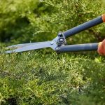Greening Your World: Landscaping with Purpose