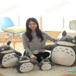 Collect the Charm of Totoro Stuffed Toys