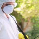 Sydney Pest Control: The Importance of Pest-Proofing Your Home